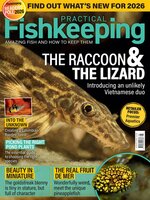 Practical Fishkeeping